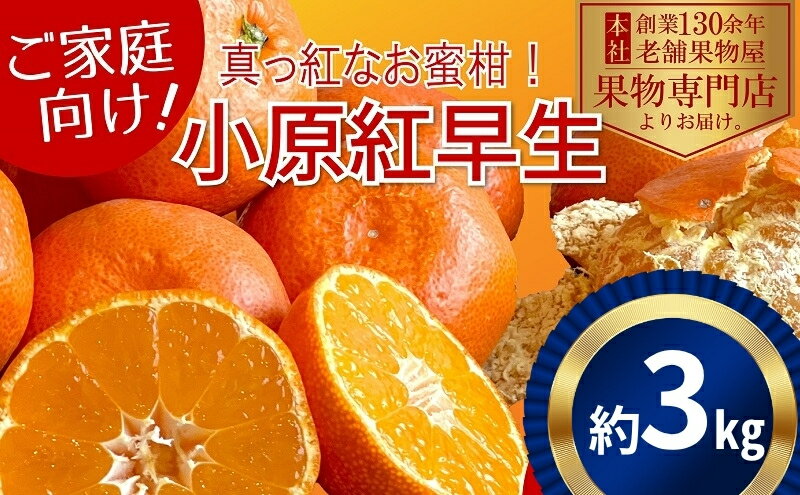 【ふるさと納税】【2025年11月中旬より順次発送】ご家庭用！真っ赤なみかんの小原紅早生　約5kg 果物 フルーツ 柑橘 デザート おやつ 食後 国産 日本産 産地直送 香川オリジナル品種 食べ物 　お届け：2025年11月中旬～2026年1月下旬 サムネイル2