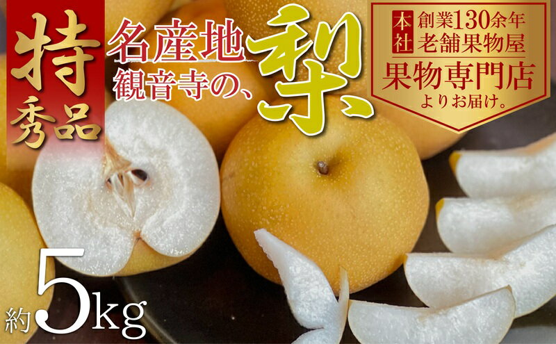 【ふるさと納税】【2026年先行予約】特秀品！観音寺の梨（豊水・南水）約5kg 果物 フルーツ デザート おやつ 食後 国産 日本産 産地直送 みずみずしい シャキシャキ 　お届け：2026年8月中旬～9月下旬 サムネイル2