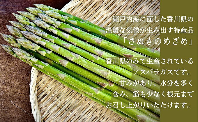 【ふるさと納税】香川県産アスパラガス「さぬきのめざめ」Lサイズ　約1kg 野菜 特産品 27cm前後 瀬戸内海 グリーンアスパラガス 冷蔵配送 　お届け：2026年3月下旬～9月下旬 - 画像3