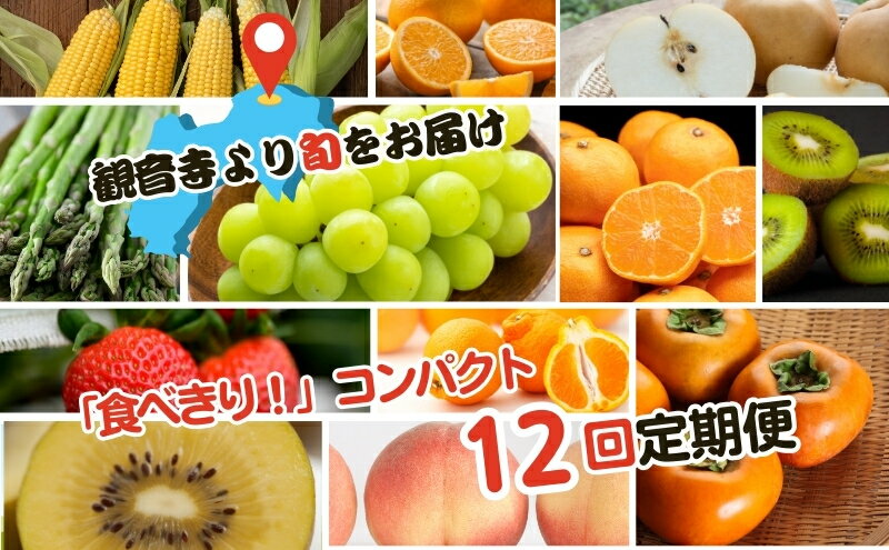 【ふるさと納税】【2025年受付】ご家庭用 食べきり 旬菜旬果フルーツ定期便 全12回 　お届け：寄附ご入金確認月の翌月以降の出荷月より12回お届けいたします。 サムネイル2