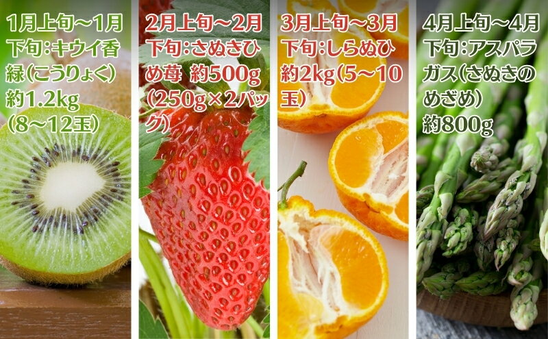 【ふるさと納税】【2025年受付】ご家庭用 食べきり 旬菜旬果フルーツ定期便 全12回 　お届け：寄附ご入金確認月の翌月以降の出荷月より12回お届けいたします。 サムネイル3