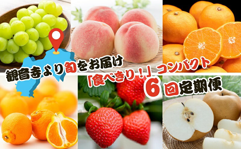 【ふるさと納税】【2025年受付】ご家庭用 食べきり 旬果フルーツ定期便 全6回 　お届け：寄附ご入金確認月の翌月以降の出荷月より6回お届けいたします。 サムネイル2