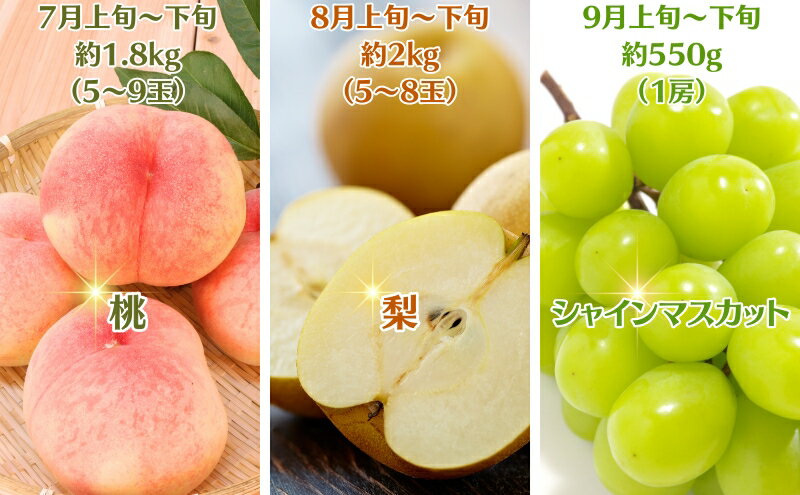 【ふるさと納税】【2025年受付】ご家庭用 食べきり 旬果フルーツ定期便 全6回 　お届け：寄附ご入金確認月の翌月以降の出荷月より6回お届けいたします。 サムネイル3