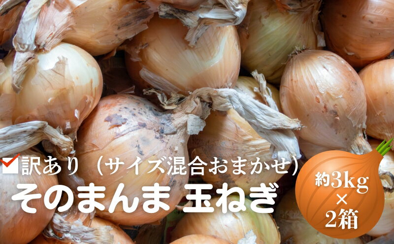 【ふるさと納税】訳あり（サイズ混合おまかせ）そのまんま 玉ねぎ（約3kg×2箱）計約6kg たまねぎ 野菜 　お届け：2026年5月中旬～6月下旬 - 画像2