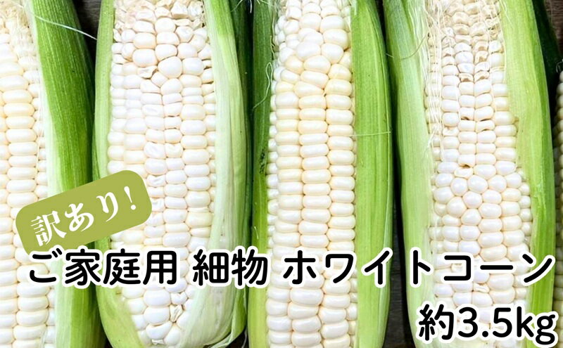 【ふるさと納税】ご家庭用 細物 ホワイトコーン 約3.5kg とうもろこし 野菜　お届け：2026年6月中旬～7月上旬 - 画像2
