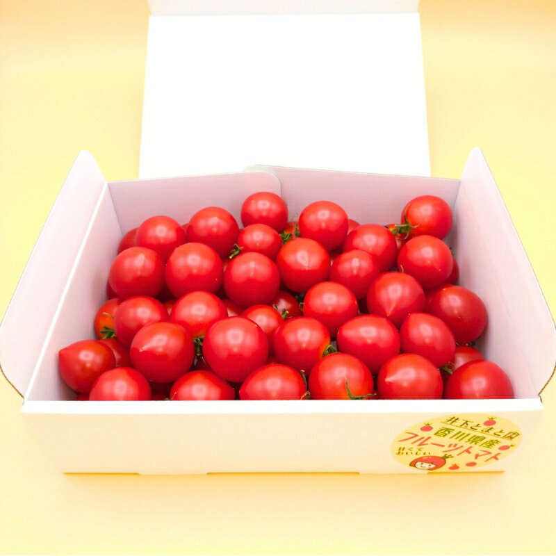 【ふるさと納税】井下とまと園の完熟 フルーツトマト 約2kg 果物類 野菜 　お届け：2025年12月下旬～2026年6月下旬 - 画像3