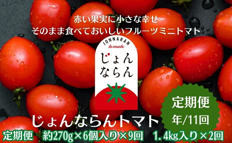 【ふるさと納税】モリヒロ園芸が育てたじょんならんトマトの定期便（年間11回） 野菜 ミニトマト 甘い フルーツ サラダ 　お届け：ご寄附（入金）頂いた月の翌月回より年間スタート致します。 - 画像2