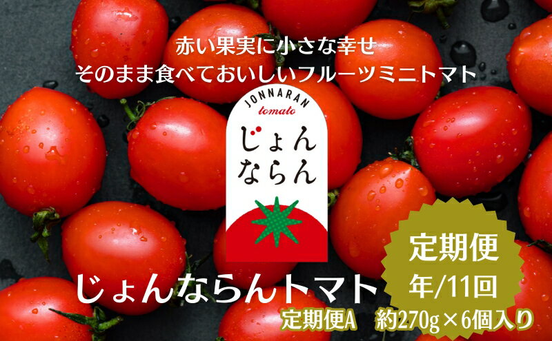 【ふるさと納税】モリヒロ園芸が育てたじょんならんトマトの定期便A　約270g×6個入り（年間11回） 野菜 ミニトマト 甘い フルーツ サラダ 　お届け：ご寄附（入金）頂いた月の翌月回より年間スタート致します。 - 画像2