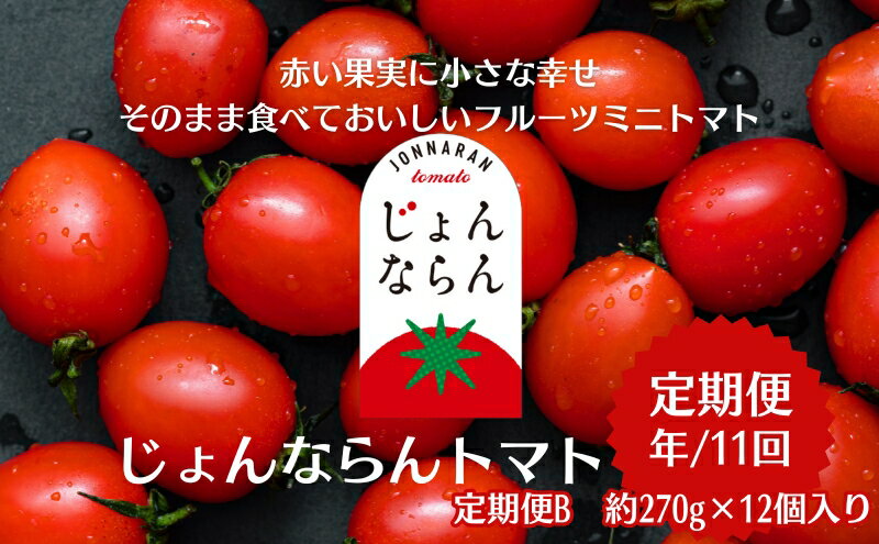 【ふるさと納税】モリヒロ園芸が育てたじょんならんトマトの定期便B　約270g×12個入り（年間11回） 野菜 ミニトマト 甘い フルーツ サラダ 　お届け：ご寄附（入金）頂いた月の翌月回より年間スタート致します。 - 画像2