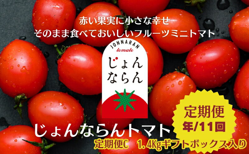 【ふるさと納税】モリヒロ園芸が育てたじょんならんトマトの定期便C　ギフトボックス入り（年間11回） 野菜 ミニトマト 甘い フルーツ サラダ 　お届け：ご寄附（入金）頂いた月の翌月回より年間スタート致します。 - 画像2