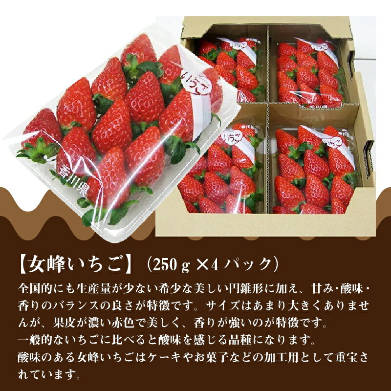 【ふるさと納税】【配送不可地域：北海道・沖縄県・離島】 いちご 食べ比べ セット 女峰いちご さぬきひめ 各 250g 4パック 計 約 2kg 甘み 酸味 香りが強い ジューシー 果肉 ケーキ お菓子 果物 フルーツ スイーツ 香川県 お取り寄せ 送料無料 五色青果 サムネイル3