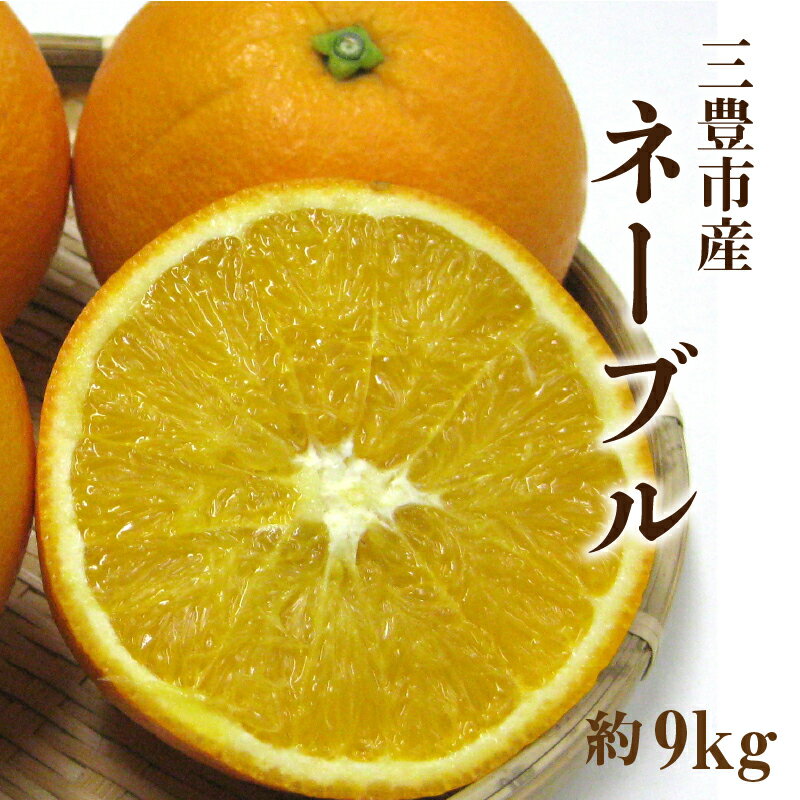 【ふるさと納税】 フルーツ みかん ネーブル 約 9kg 36玉〜60玉 先行予約 [ バランスが良い 華やかな香りが強い オレンジ 果物 柑橘 旬 お取り寄せグルメ 新鮮 直送 産地直送 人気 ギフト お歳暮 贈答用 家庭用 10,000円 台 送料無料 香川県 三豊市 返礼品 五色青果 ] サムネイル2