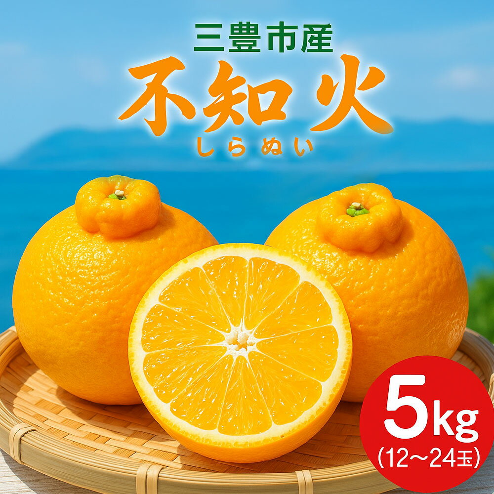 フルーツ みかん 不知火 5kg （12〜24玉） 先行予約 [ 果物 柑橘 旬 お取り寄せグルメ 新鮮 直送 産地直送 予約販売 人気 ギフト お歳暮 贈答用 家庭用 16000 10,000円 台 送料無料 香川県 三豊市 返礼品 五色青果 ]