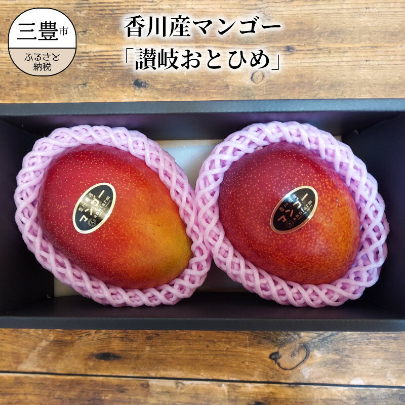 讃岐おとひめ 香川産マンゴー「讃岐おとひめ」 Lサイズ 2個入 [ 三豊市 財田町 国産マンゴー 産地直送 完熟マンゴー 果物ギフト フルーツ 贈答用 濃厚な甘み ジューシーな果肉 完熟果実 フルーツ 果汁たっぷり 10000 10,000円 台 アンファーム ]
