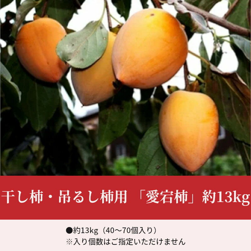 【ふるさと納税】【配送不可地域：北海道・沖縄県・離島】干し柿・吊るし柿用「愛宕柿」約13kg 柿 かき kaki 直送 旬 健康効果 栄養価 送料無料 フルーツ 果物 お取り寄せグルメ 御取り寄せグルメ 詰め合わせ 詰合せ 詰合わせ 秋 旬 五色青果 サムネイル3