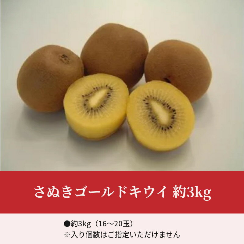 【ふるさと納税】【先行予約】【配送不可地域：北海道・沖縄県・離島】キウイフルーツ キウイ ゴールドキウイ 約 3kg 20玉〜24玉 甘い 果実 大きい 大玉 さぬきゴールドキウイ フルーツ 果物 お取り寄せ 香川県 三豊市 送料無料 五色青果 サムネイル3