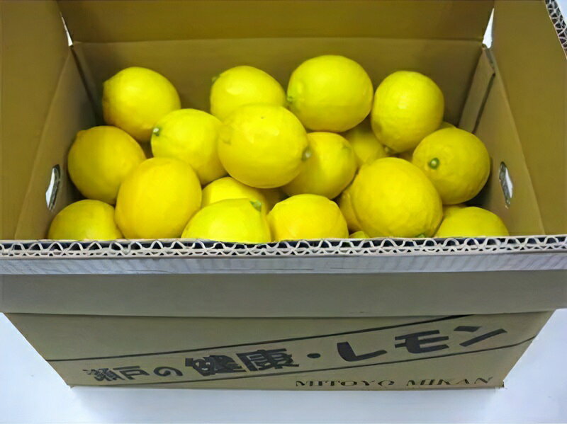 【ふるさと納税】【先行予約】 レモン 瀬戸内レモン 約4.5kg [ 国産レモン フルーツ 柑橘類 三豊市産 香川県産 産地直送 旬のレモン ビタミンC豊富 皮ごと使える 皮まで 丸ごと れもん 檸檬 lemon 瀬戸内 お取り寄せ 送料無料10000 10,000円 台 香川県 三豊市 五色青果 ] サムネイル2