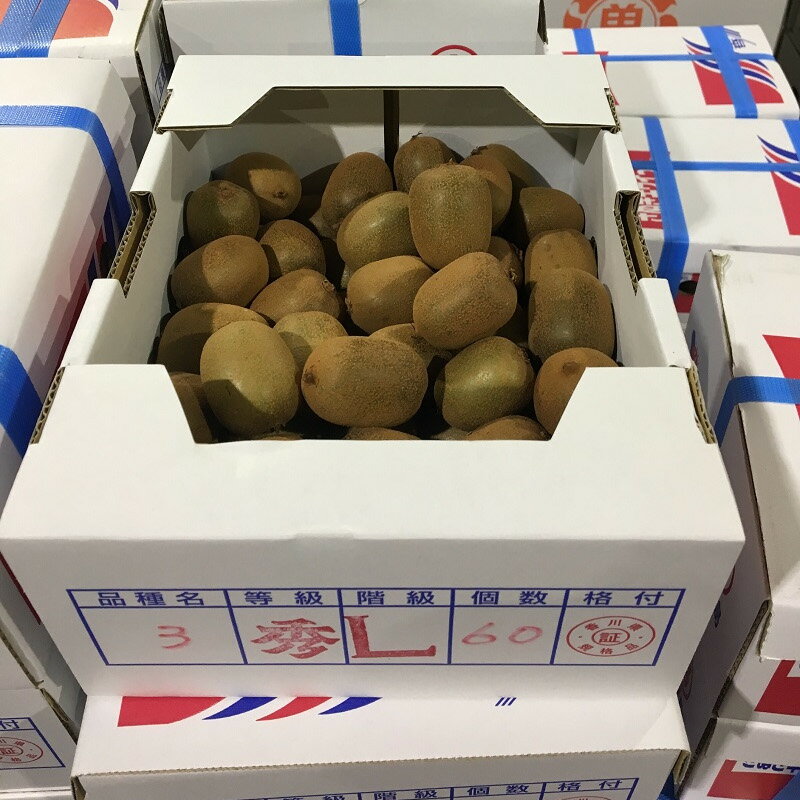 【ふるさと納税】 キウイ 【先行予約】 約 2kg 40〜80玉 さぬきキウイっこ 国産 一口サイズ 可愛い 果物 さぬき讃フルーツ オリジナルキウイ 糖度が高く 酸味が少ない お取り寄せ ギフト 香川県 三豊市 讃岐 さぬき 10000円 10,000円 台 返礼品 送料無料 五色青果 サムネイル3