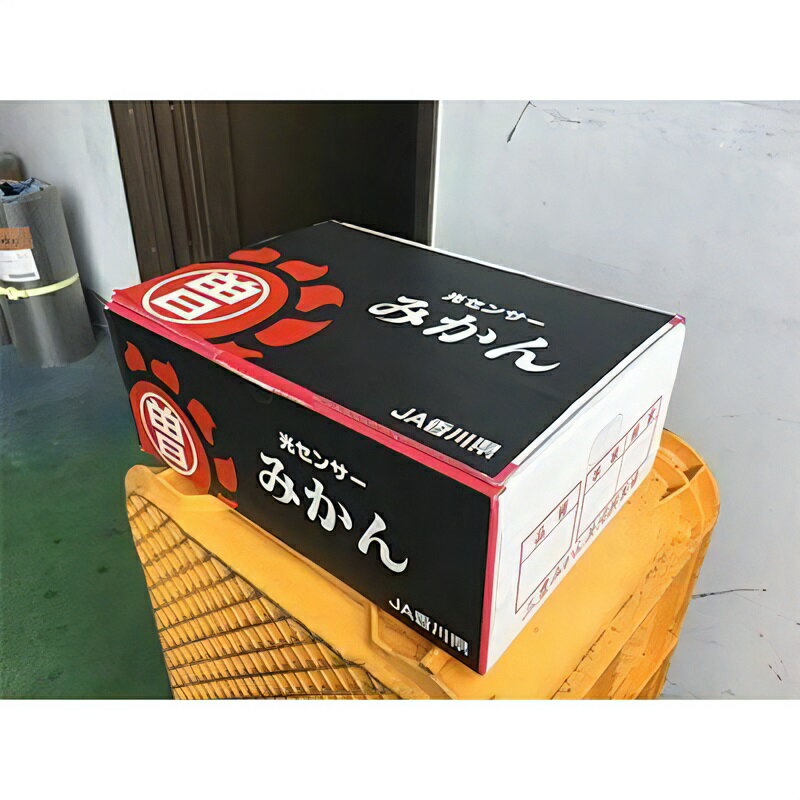【ふるさと納税】 フルーツ みかん 曽保みかん 光センサー選別 約 3kg ×2箱 L〜Sサイズ 先行予約 [ 果物 柑橘 ジューシー 甘い 旬 新鮮 直送 産地直送 予約販売 人気 ギフト お歳暮 贈答用 家庭用 10000 10,000円 台 送料無料 香川県 三豊市 返礼品 五色青果 ] サムネイル3