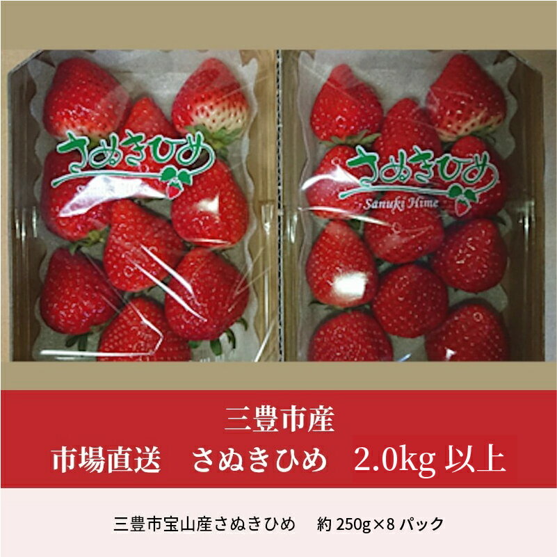 【ふるさと納税】いちご さぬきひめ 三豊市産 香川県 2025年出荷 【市場直送 さぬきひめ 2.0kg 以上】 [ フルーツ 名産品 いちご 苺 イチゴ 果物 果実 くだもの お取り寄せグルメ 三豊市 ご当地 喜ばれる お取り寄せギフト ギフト 返礼品 マミィギフト ] サムネイル2