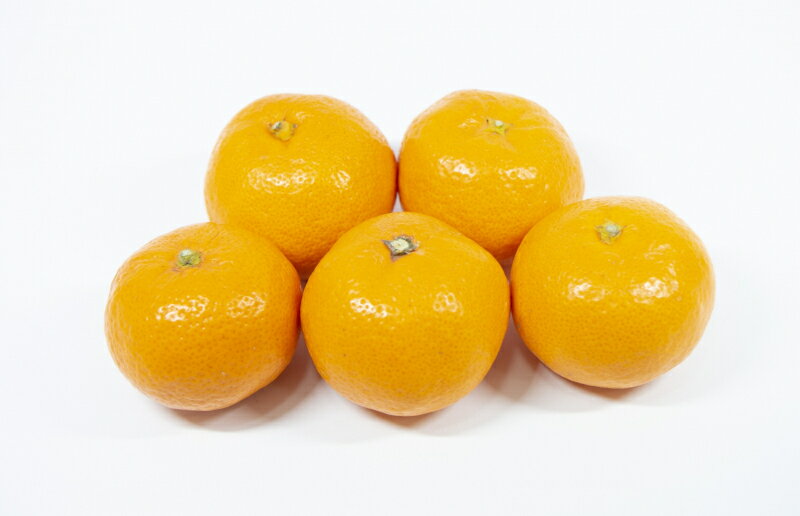 【ふるさと納税】みかん 曽保みかん 食べ比べ 3回 定期便 3kg 5kg 13kg 詰め合わせ [ フルーツ 果物 国産 旬 お取り寄せ グルメ 高級 甘い 人気 ギフト 贈答用 家庭用 秋 冬 季節限定 50000円 送料無料 香川県 三豊市 返礼品 造田商店 ] サムネイル3