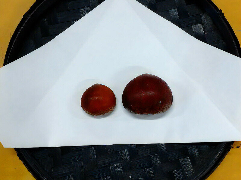 【ふるさと納税】 栗 生栗 2026 さぬき山都の完熟生栗 低温熟成 大粒 4Lサイズ 約2kg 数量限定 [ 秋の味覚 栗ごはん お取り寄せ グルメ 厳選 栽培 糖度 甘栗 国産 大粒栗 香川県 三豊市 送料無料 返礼品 ギフト グルメギフト ふるさと納税 さぬき山都 ] サムネイル2