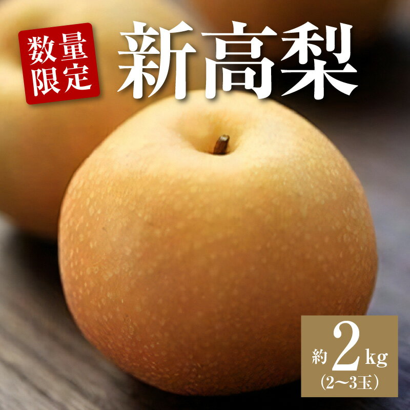 梨 平和農園の新高梨 約2kg 大箱 2～3玉入【先行予約】【2026年発送】[ 新高梨 高級梨 大玉 フルーツ 果物 甘い ジューシー 人気 ギフト ランキング 季節限定 贈答用 内祝い お歳暮 お取り寄せグルメ 産地直送 返礼品 送料無料 三豊市 平和農園 ]
