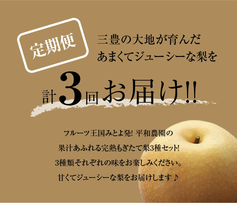 【ふるさと納税】 梨 幸水 豊水 新高梨 食べ比べ 定期便 約12kg（各4kg×3種）【先行予約】 [ フルーツ 果物 くだもの 果物定期便 フルーツ定期便 フルーツ詰め合わせ 人気 ギフト 贈答用 産地直送 香川県 三豊市 送料無料 お取り寄せ グルメ 数量限定 返礼品 平和農園 ] サムネイル2