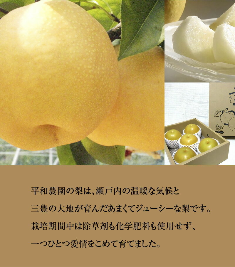 【ふるさと納税】 梨 幸水 豊水 新高梨 食べ比べ 定期便 約12kg（各4kg×3種）【先行予約】 [ フルーツ 果物 くだもの 果物定期便 フルーツ定期便 フルーツ詰め合わせ 人気 ギフト 贈答用 産地直送 香川県 三豊市 送料無料 お取り寄せ グルメ 数量限定 返礼品 平和農園 ] サムネイル3