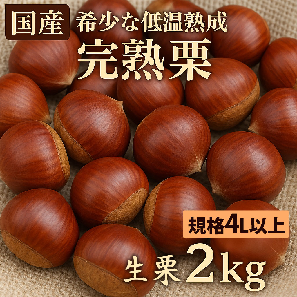 栗 生栗 2026 さぬき山都の完熟生栗 低温熟成 大粒 4Lサイズ 約2kg 数量限定 [ 秋の味覚 栗ごはん お取り寄せ グルメ 厳選 栽培 糖度 甘栗 国産 大粒栗 香川県 三豊市 送料無料 返礼品 ギフト グルメギフト ふるさと納税 さぬき山都 ]