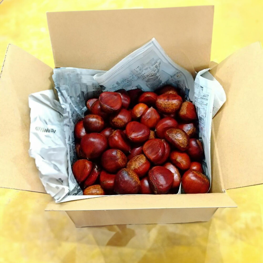 【ふるさと納税】 栗 生栗 期間限定 数量限定 先行予約 『さぬき山都の低温熟成 完熟栗 2Lサイズ以上 約2kg 』 [ 栗ごはん 秋の味覚 くり クリ 大粒 栽培 厳選 糖度 選別 グルメ お取り寄せ おいしい 三豊市 香川県 みとよ 20,000円 台 送料無料 さぬき山都 ] サムネイル2