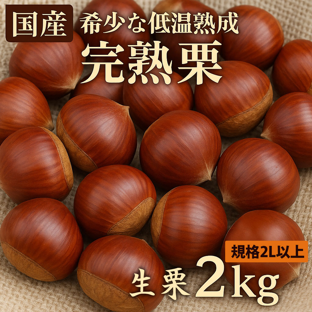 栗 生栗 期間限定 数量限定 先行予約 『さぬき山都の低温熟成 完熟栗 2Lサイズ以上 約2kg 』 [ 栗ごはん 秋の味覚 くり クリ 大粒 栽培 厳選 糖度 選別 グルメ お取り寄せ おいしい 三豊市 香川県 みとよ 20,000円 台 送料無料 さぬき山都 ]