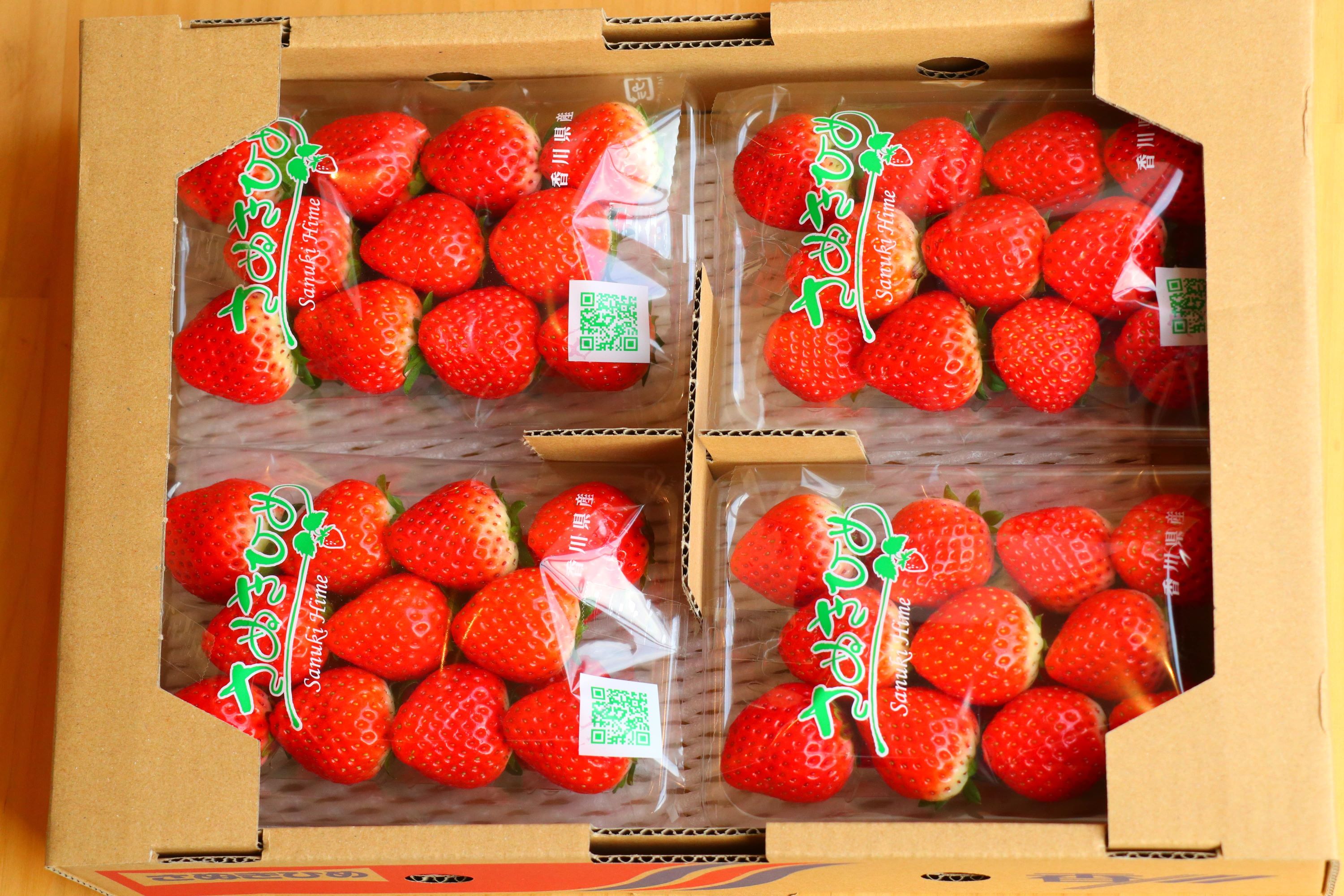 【ふるさと納税】いちご さぬきひめ 三豊市産 香川県 2025年出荷 【市場直送 さぬきひめ 1.0kg 以上】 [ フルーツ 名産品 いちご 苺 イチゴ 果物 果実 くだもの お取り寄せグルメ 三豊市 香川県 ご当地 お取り寄せギフト ギフト 返礼品 マミィギフト ] サムネイル3