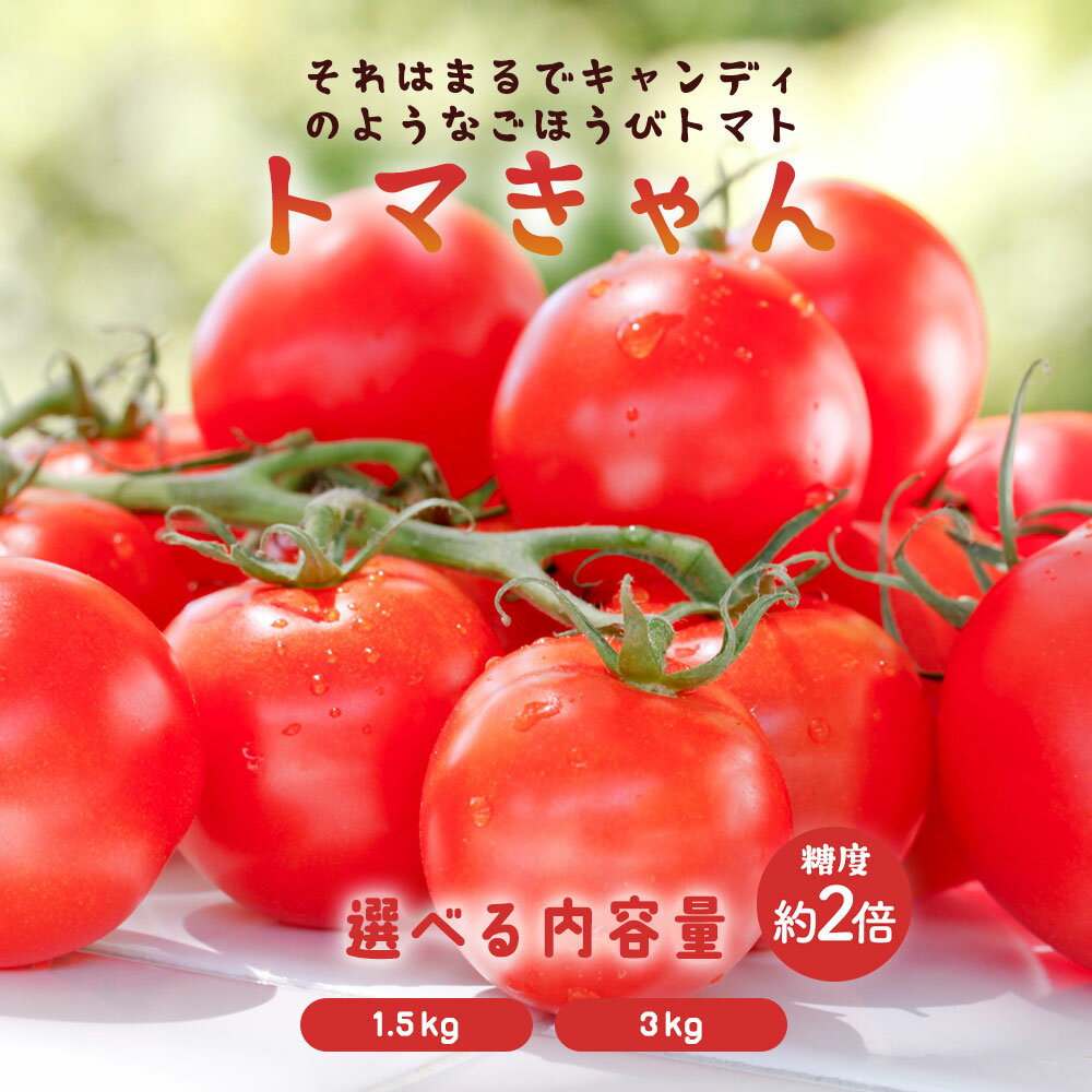 【ふるさと納税】ミニトマト 1.5kg~3kg 選べる 香川農園 三豊市産トマト プチトマト 訳あり 甘い ぎゅっと詰まった太陽のエネルギー 新鮮そのまま 健康と美味しさの両立 一口で感じるフレッシュ 一日分のビタミンチャージ 香川県 三豊市 ご当地 10,000円 台 返礼品 香川農園 - 画像2