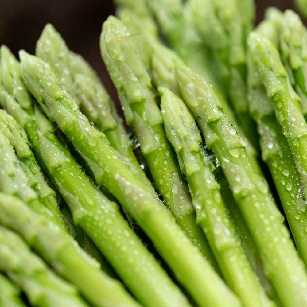 【ふるさと納税】アスパラガス さぬきのめざめ1kg 先行予約［グリーンアスパラ 夏芽 春芽 シャキシャキ食感 冷蔵 国産 野菜 産地直送 フードロス 訳あり お取り寄せグルメ 人気 ギフト 贈答用 取り寄せ アスパラ 送料無料 香川県 三豊市 三豊オリーブ］ - 画像2