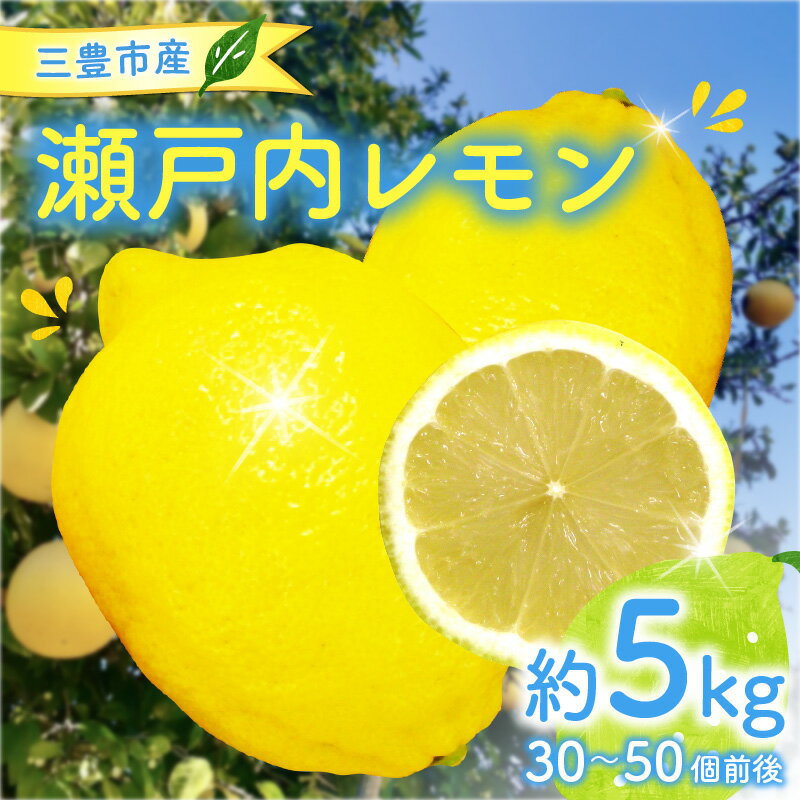 【配送不可地域：北海道・沖縄県・離島】 三豊市産 瀬戸内レモン 約5kg（30〜50個前後） 檸檬 れもん 爽やか 香り レモン 国産 lemon オーガニック 瀬戸内 有機レモン 通販 お取り寄せ オーガニックレモン 瀬戸内レモン フレッシュレモン 秋 旬 五色青果