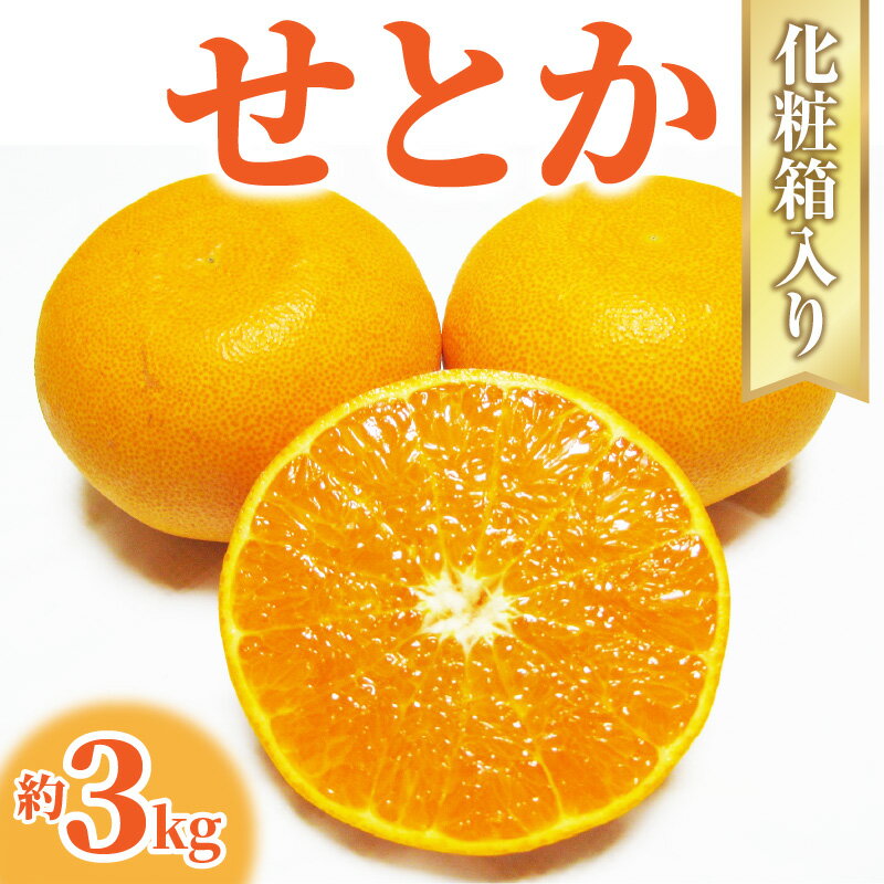 【配送不可地域：北海道・沖縄県・離島】みかん せとか 約 3kg 7玉〜12玉 国産 とろける食感 とろける甘さと濃厚な風味 なめらかで美しい果肉 みかんの大トロ とも呼ばれる 海外からも注目 柑橘 フルーツ 果物 秋 旬 五色青果