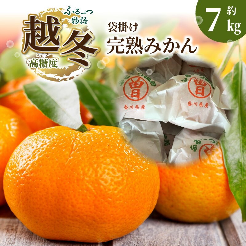 みかん 約 7kg 完熟 70個 〜 120個 程度 ふるーつ物語 越冬 越冬完熟みかん 袋掛けみかん 旬にお届け 1月中旬から2月中旬頃の順次発送予定 フルーツ 果物 フルーツ王国 人気 お取り寄せ ギフト 香川県 三豊市 ご当地 40,000円 台 返礼品 送料無料 五色青果