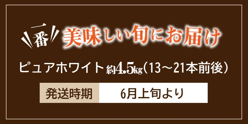 【ふるさと納税】とうもろこし ホワイトコーン「ピュアホワイト」約4.5kg [ ホワイトコーン ピュアホワイト コーン スイートコーン 甘い 生 野菜 旬 新鮮 採れたて 送料無料 食品 大粒 甘味 贈答用 ギフト 香川県 三豊市 讃岐 さぬき ご当地 10,000円 台 返礼品 五色青果 ] - 画像2