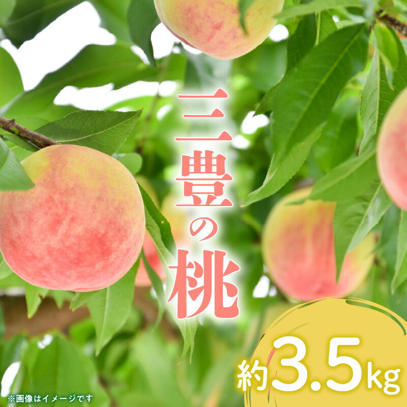 とろける果肉 「三豊の桃」 約3.5kg もも ギフト フルーツ 3kg以上 モモ [ 旬 ギフト プレゼント 贈答用 国産 食品 冷蔵 果物 デザート フルーツ お取り寄せ お取り寄せグルメ 産地直送 溢れる甘い果汁 送料無料 20000 20,000円 台 香川県 三豊市 五色青果 ]