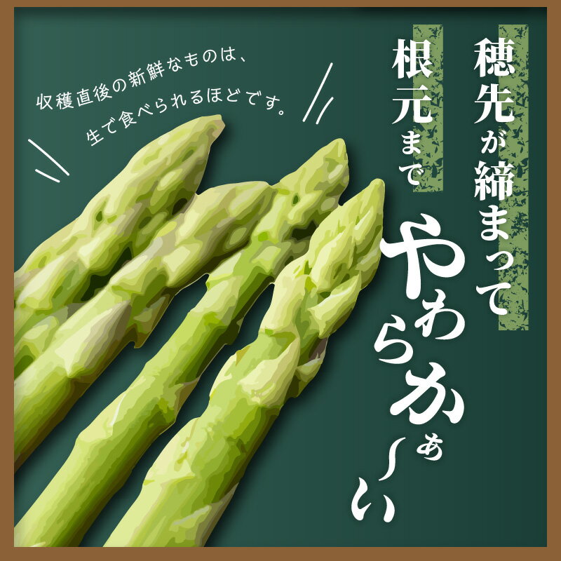 【ふるさと納税】 アスパラガス さぬきのめざめ 約1.5kg 先行予約 [ バラ詰め 夏芽 春芽 グリーンアスパラ シャキシャキ 新鮮野菜 旬 冷蔵 野菜 夏野菜 贈答用 お取り寄せグルメ 人気 ギフト ランキング 取り寄せ アスパラ 産地直送 送料無料 香川県 三豊市 豊田農園 ] - 画像3