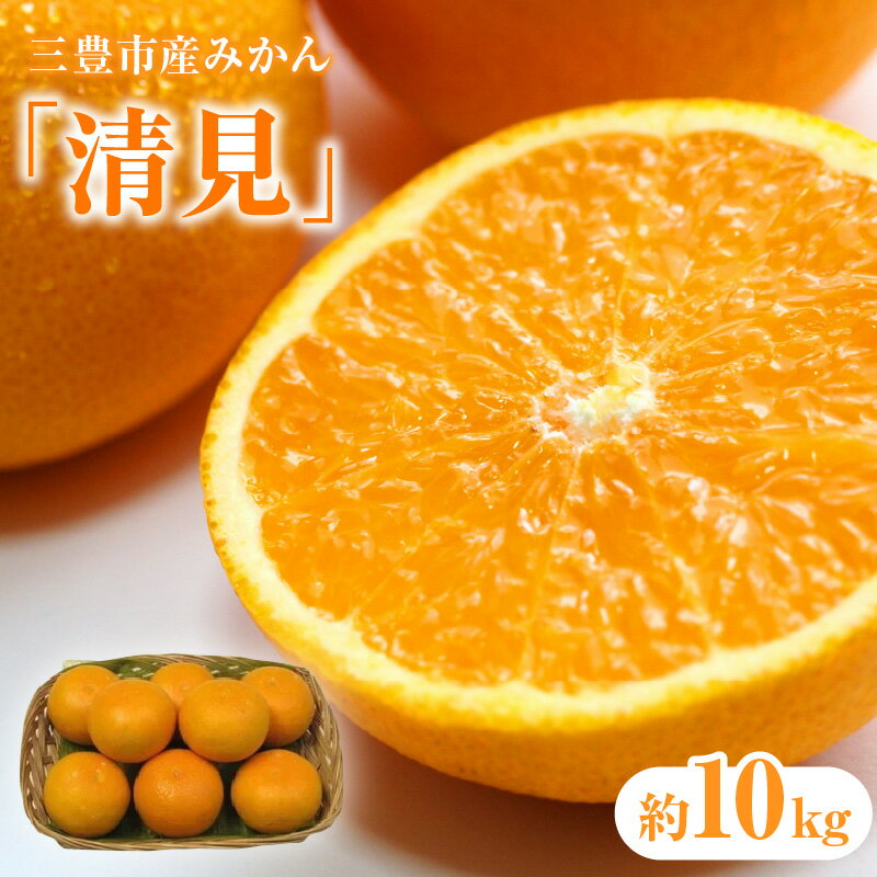 フルーツ みかん 三豊市産みかん「清見」約 10kg 先行予約 [ 清見みかん 約10kg フルーツ 果物 柑橘 ジューシー 甘い 旬 新鮮 直送 産地直送 予約販売 人気 ギフト お歳暮 贈答用 家庭用 10,000円 台 送料無料 香川県 三豊市 返礼品 五色青果 ]