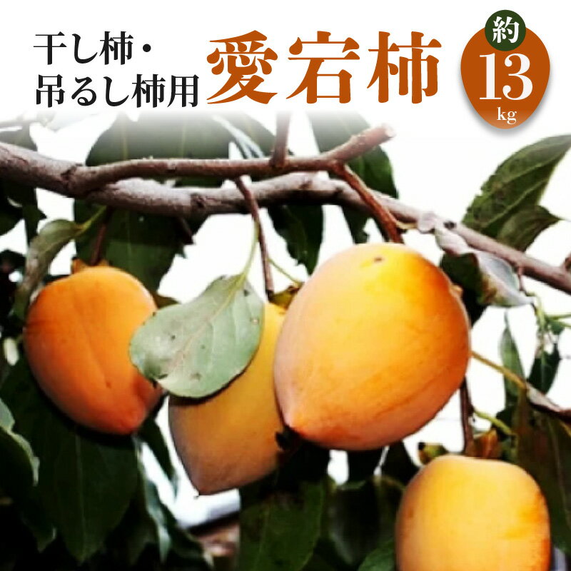 【配送不可地域：北海道・沖縄県・離島】干し柿・吊るし柿用「愛宕柿」約13kg 柿 かき kaki 直送 旬 健康効果 栄養価 送料無料 フルーツ 果物 お取り寄せグルメ 御取り寄せグルメ 詰め合わせ 詰合せ 詰合わせ 秋 旬 五色青果
