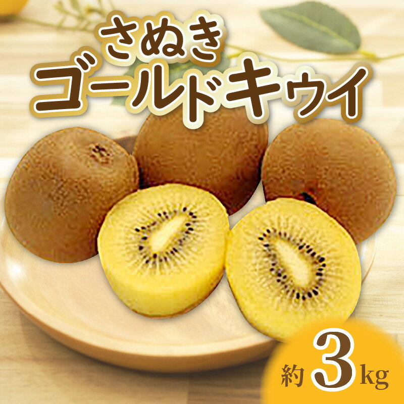【先行予約】【配送不可地域：北海道・沖縄県・離島】キウイフルーツ キウイ ゴールドキウイ 約 3kg 20玉〜24玉 甘い 果実 大きい 大玉 さぬきゴールドキウイ フルーツ 果物 お取り寄せ 香川県 三豊市 送料無料 五色青果