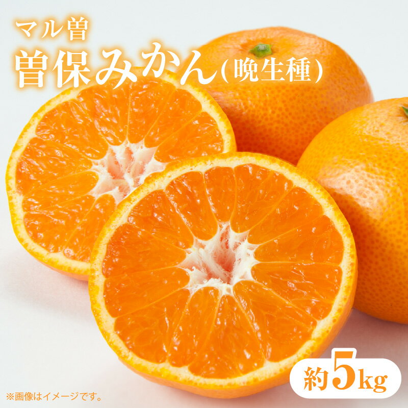 フルーツ みかん 曽保みかん 国産 【マル曽】曽保みかん (晩生種) 約5kg [ 果物 柑橘 ジューシー 甘い 旬 新鮮 直送 産地直送 予約販売 人気 お取り寄せ ギフト お歳暮 贈答用 家庭用 10000 10,000円 台 送料無料 香川県 三豊市 返礼品 五色青果 ]