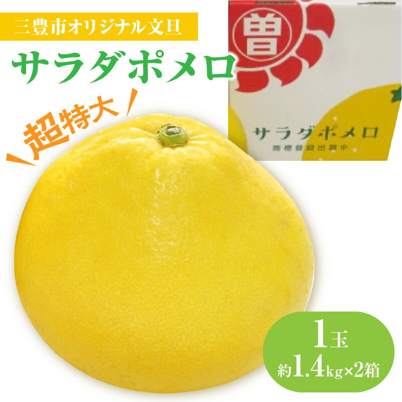 フルーツ みかん 文旦 1玉 約1.4kg以上 × 2箱 サラダポメロ 先行予約 超特大 サイズ 皮が薄い 剥きやすい [ 果物 柑橘 旬 新鮮 直送 産地直送 予約販売 人気 ギフト お歳暮 贈答用 家庭用 10,000円 台 送料無料 香川県 三豊市 返礼品 五色青果 ]