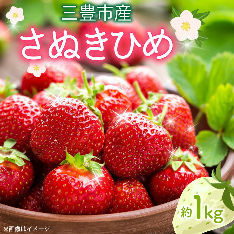 いちご 苺 【先行予約】イチゴ さぬきひめいちご 約 1kg 250g 4パック 三豊市産 やわらかな食感 果汁があふれる ジューシー 果肉 香り豊か 甘く深みのある香り 果物 フルーツ 香川県 三豊市 讃岐 さぬき お取り寄せギフト 送料無料 秋 旬 五色青果