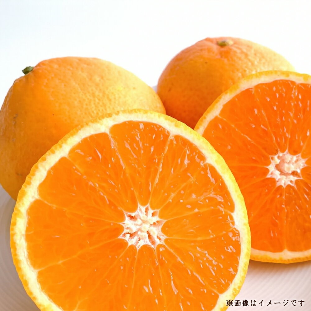 フルーツ みかん 三豊みかん 約 5kg 先行予約 [ 果物 柑橘 旬お取り寄せグルメ 新鮮 直送 産地直送 予約販売 人気 ギフト お歳暮 贈答用 家庭用 12000 10,000円 台 送料無料 香川県 三豊市 返礼品 五色青果 ]