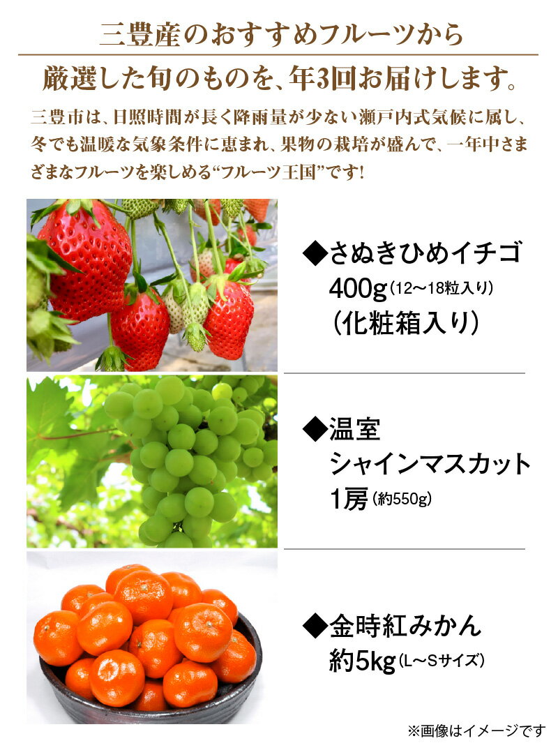 【ふるさと納税】フルーツ 定期 三豊市産 人気の厳選フルーツ定期便（年3回） [ いちご シャインマスカット みかん さぬきひめ 苺 金時紅みかん 果物 旬の季節にお届け 年3回お届け お取り寄せ 香川県三豊市産 30000 30,000円 台 ご当地 おいしい ギフト 送料無料 五色青果 ] サムネイル2