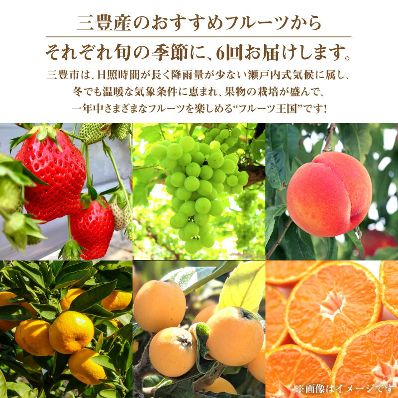 【ふるさと納税】【配送不可地域：北海道・沖縄県・離島】フルーツ王国 みとよ 特選 こだわり 6品 (奇数月) 定期便 定期 フルーツ 果物 果実 旬 旬の時期 6回 みかん いちご びわ もも シャインマスカット お取り寄せ フルーツ王国みとよ 香川県 三豊市 送料無料 サムネイル2
